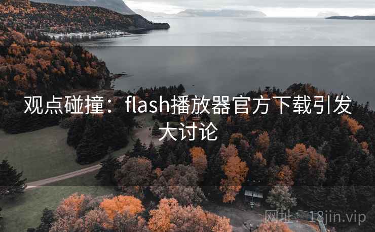 观点碰撞:flash播放器官方下载引发大讨论 第2张 观点碰撞:flash播放器官方下载引发大讨论 第2张